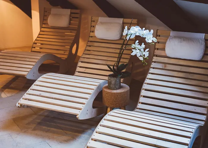 哈尔施塔特历史酒店 4*